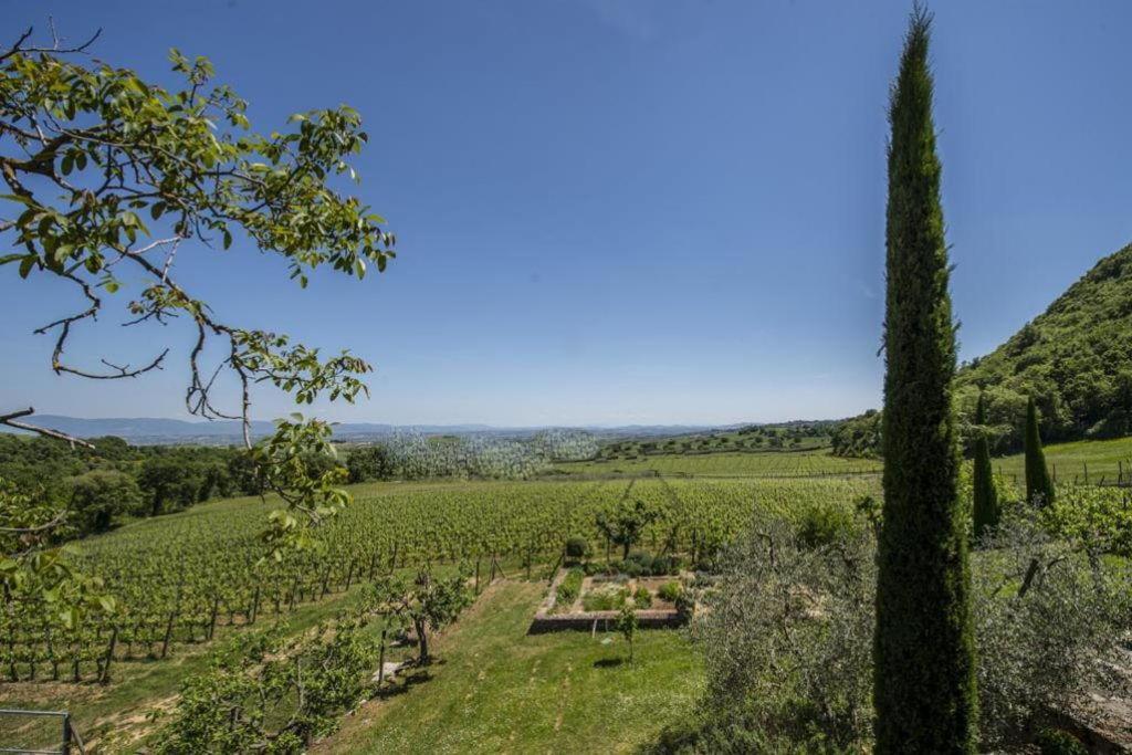 Bed and Breakfast Abbadia Wine Relais Montefollonico Экстерьер фото