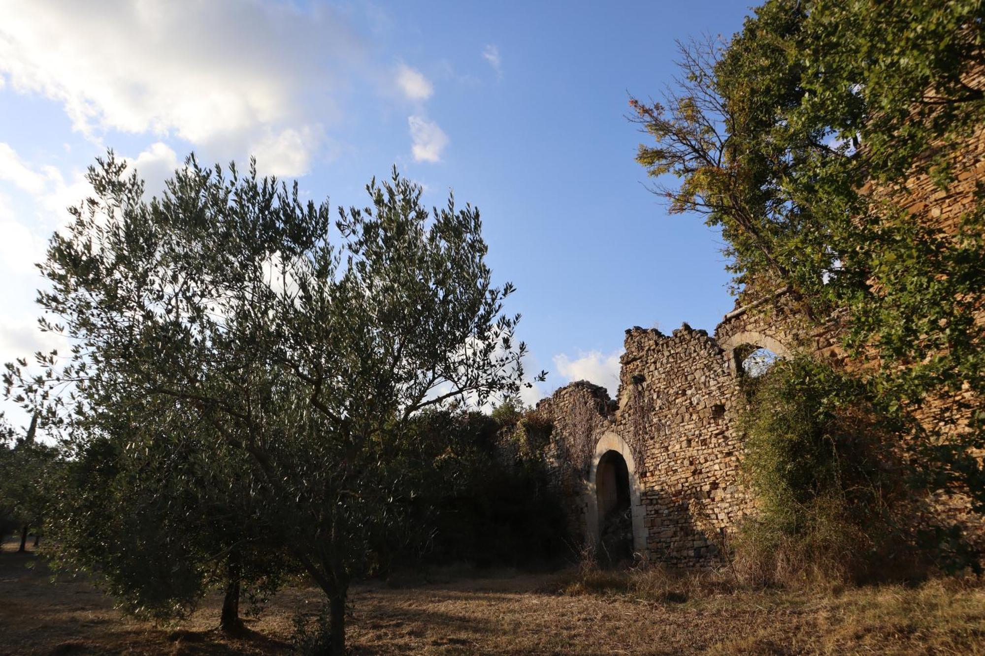 Bed and Breakfast Abbadia Wine Relais Montefollonico Экстерьер фото