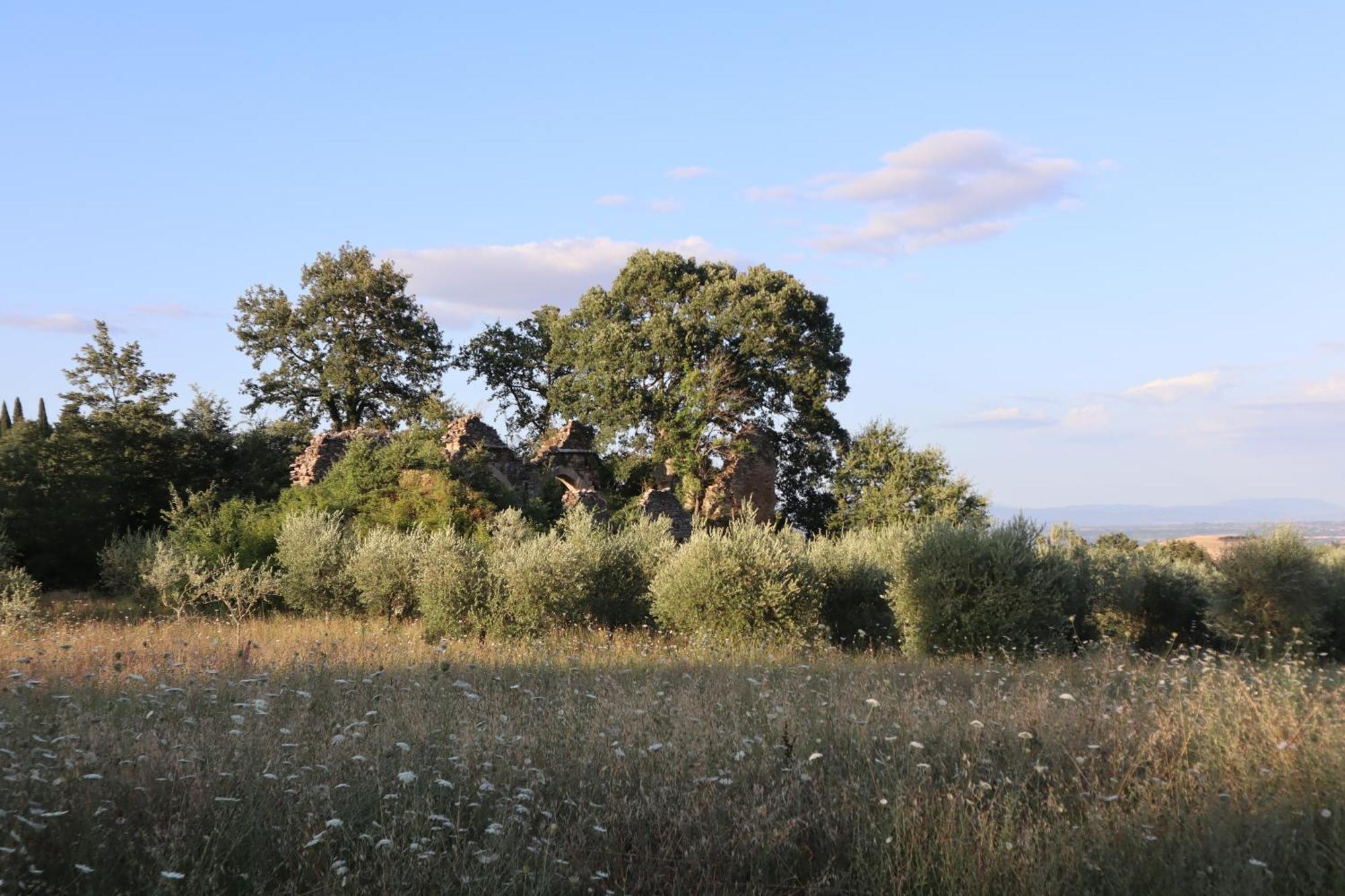 Bed and Breakfast Abbadia Wine Relais Montefollonico Экстерьер фото
