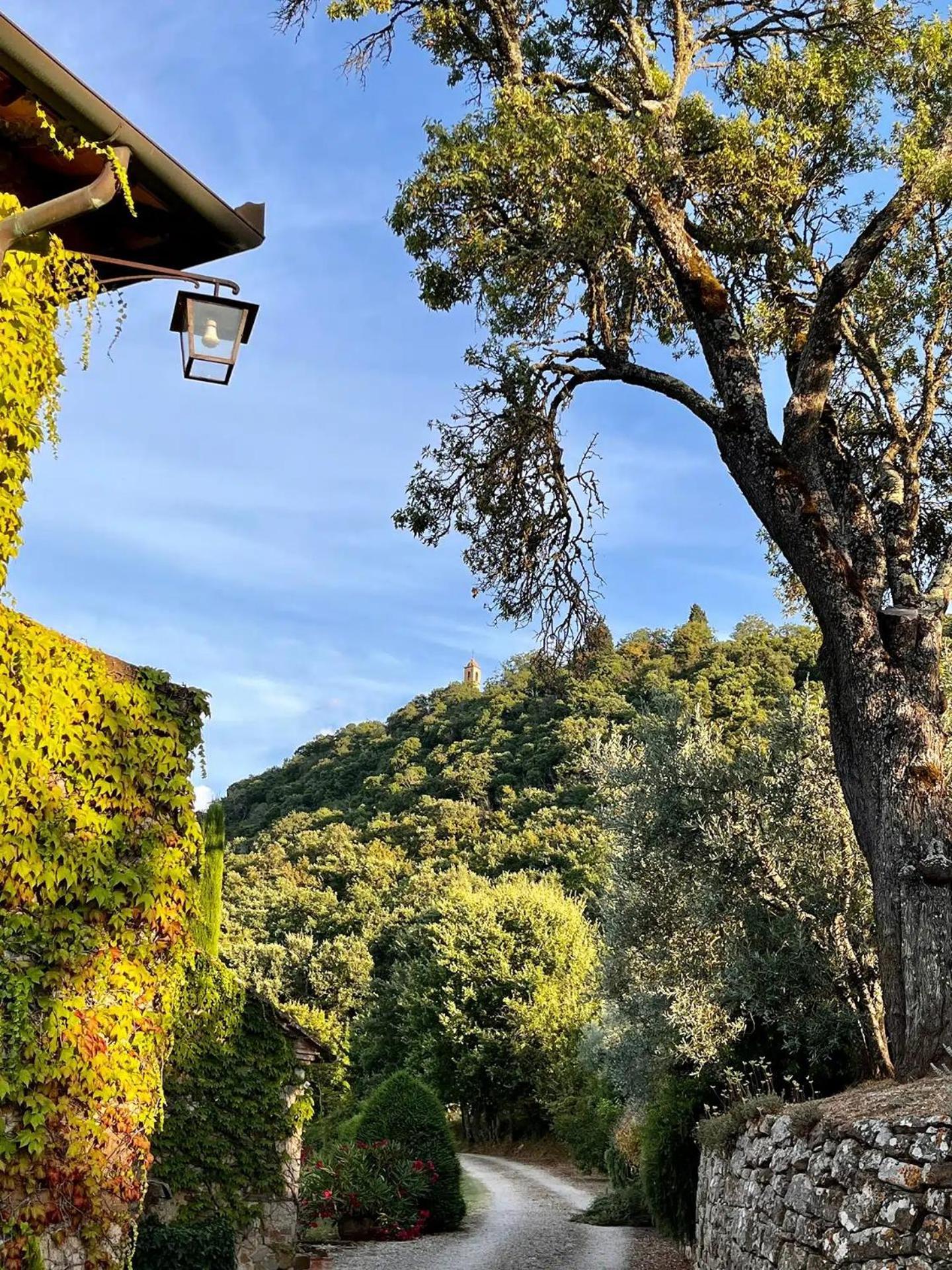 Bed and Breakfast Abbadia Wine Relais Montefollonico Экстерьер фото